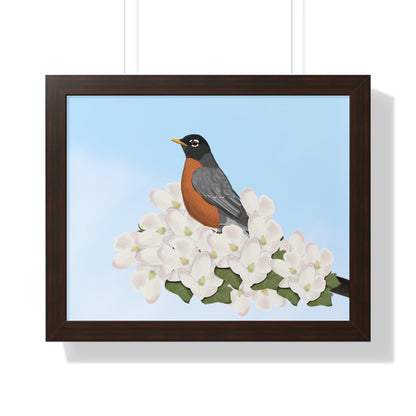 Robin Spring Blossoms Bird Framed Poster