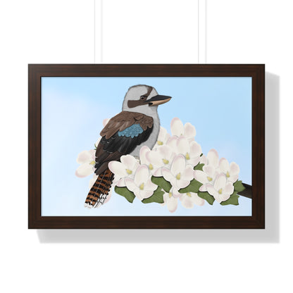 Kookaburra Spring Blossoms Bird Framed Poster