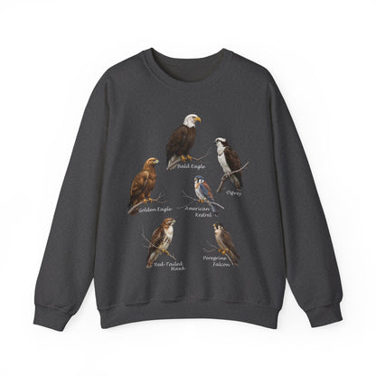 North American Raptors Crewneck Sweatshirt – Bald Eagle, Hawk & Falcon