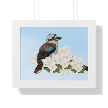 Kookaburra Spring Blossoms Bird Framed Poster