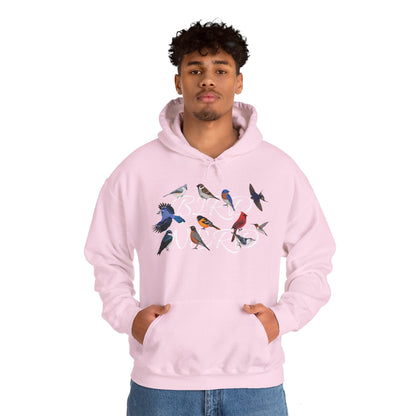 Bird Nerd Blue Jay Cardinal Hummingbird Robin Oriole Hoodie