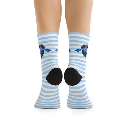 Blue Jay Stripes Blue White Birding & Birdwatching Bird Socks