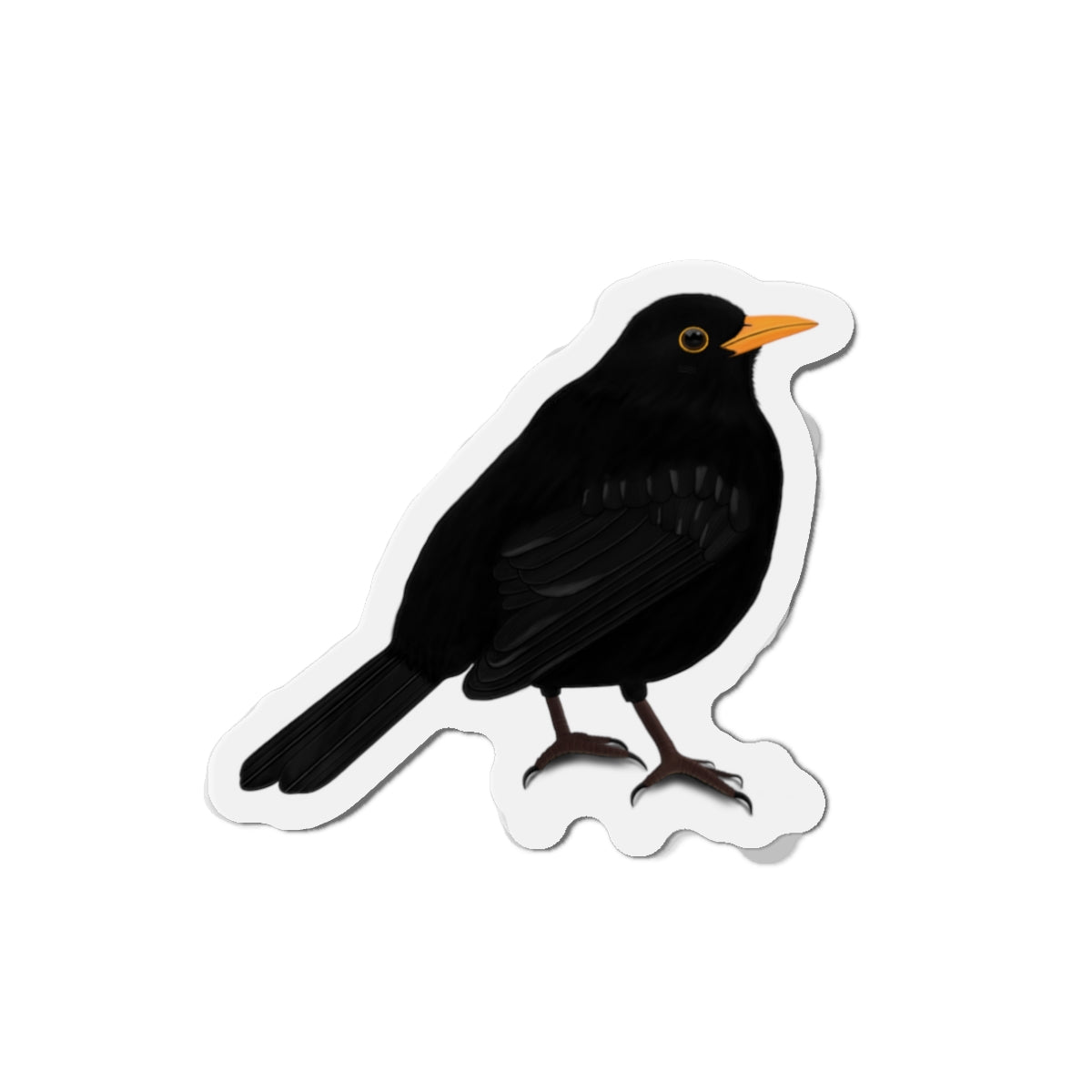 Blackbird Bird Magnet