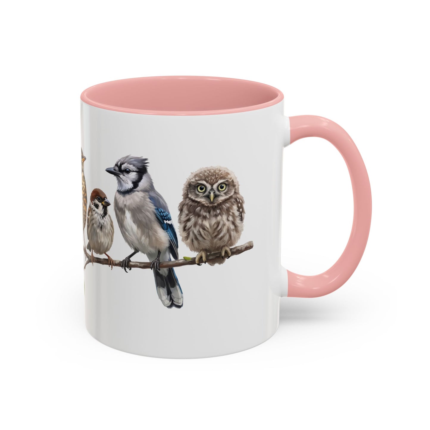 Blue Jay Cardinal Bluebird Little Owl Fledglings Two-Tone Mug | Spring Bird Lover Gift