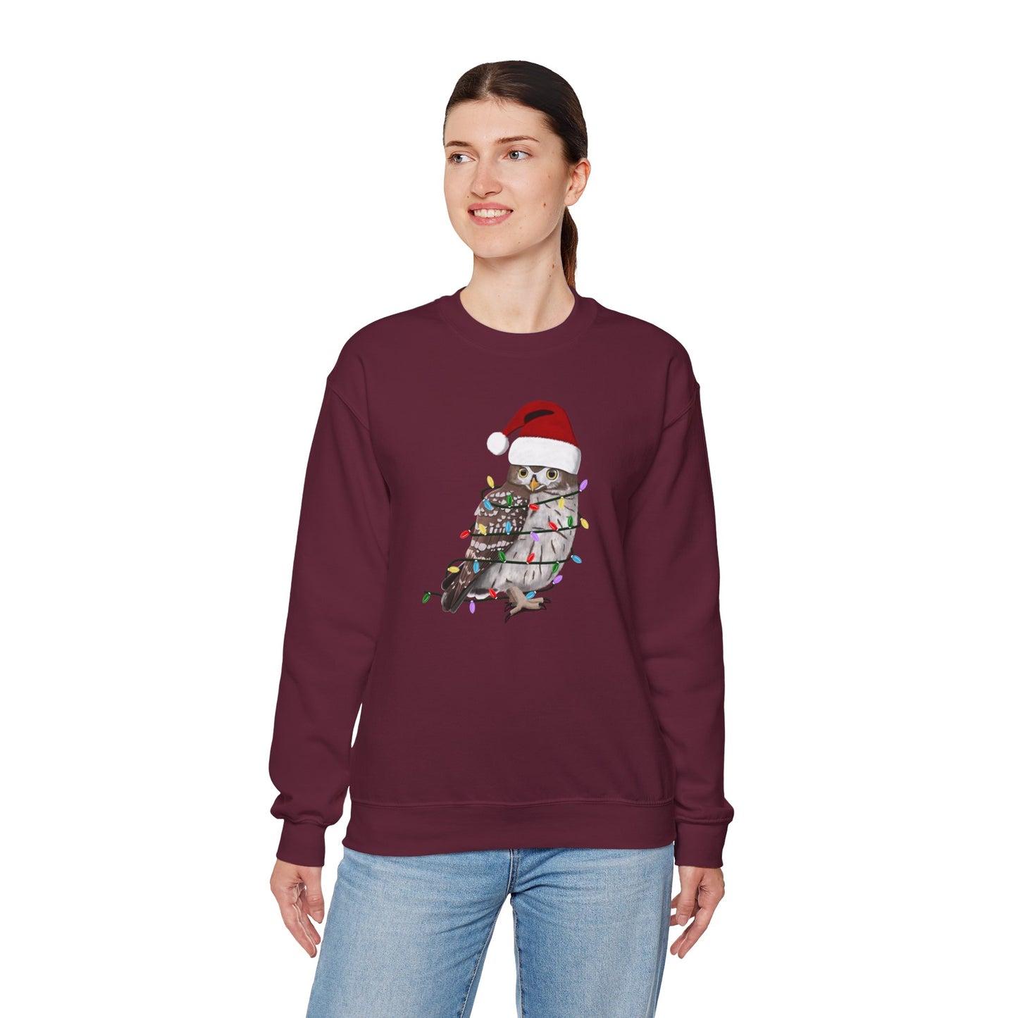 Owl with Fairy Lights Santa Claus Christmas Bird Sweatshirt