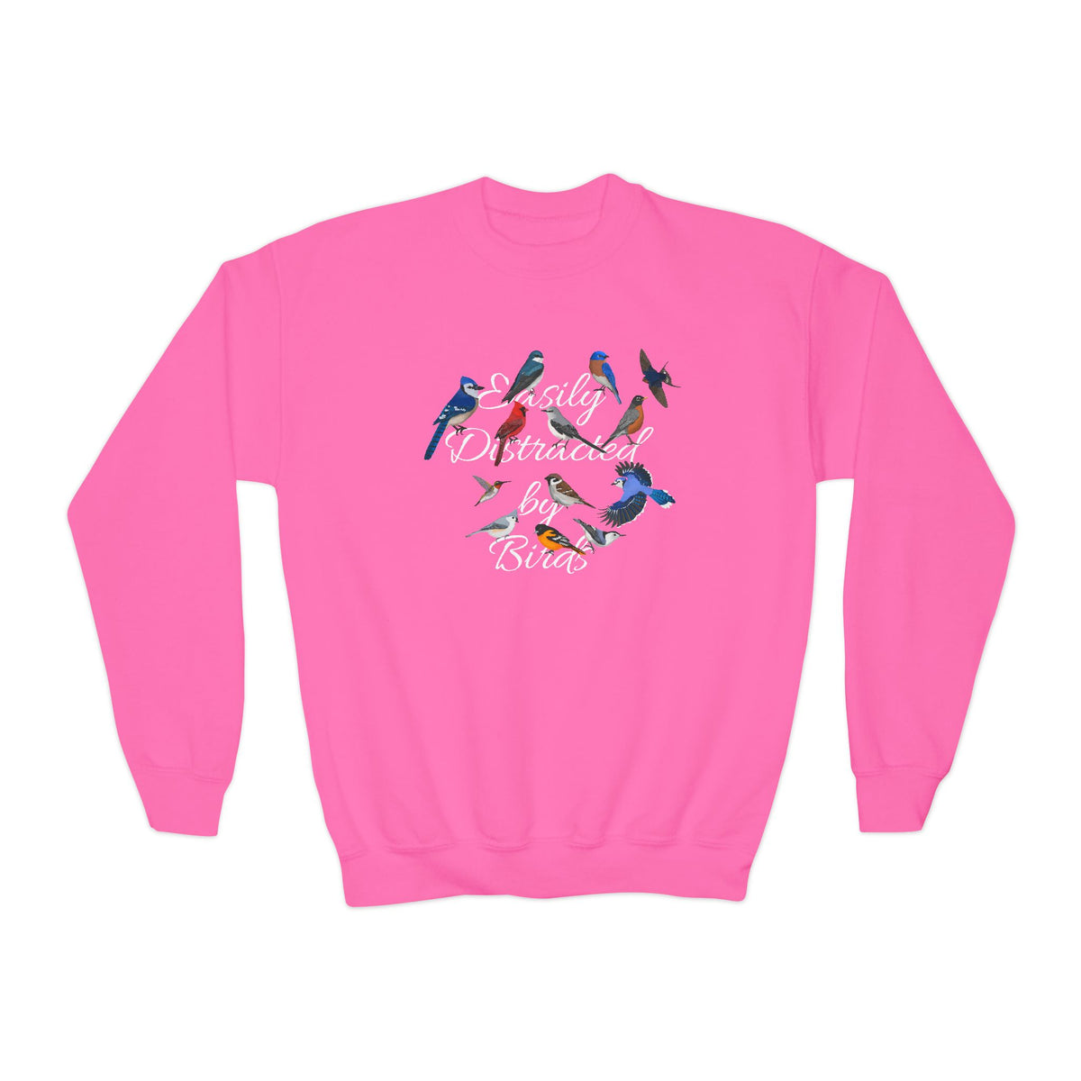 Hummingbird, Bluebird, Blue Jay, Cardinal and Nuthatch Youth Sweatshirts – Casual Kids Clothing Cool Weather Outfit style