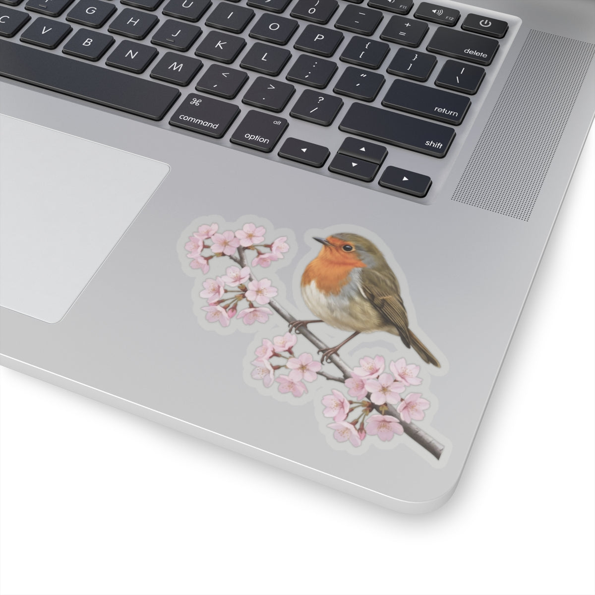 European Robin Cherry Blossom Sticker | Glossy Floral Bird Decal | Spring Laptop Sticker
