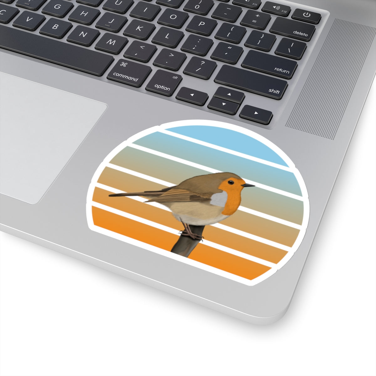 European Robin Bird Sticker