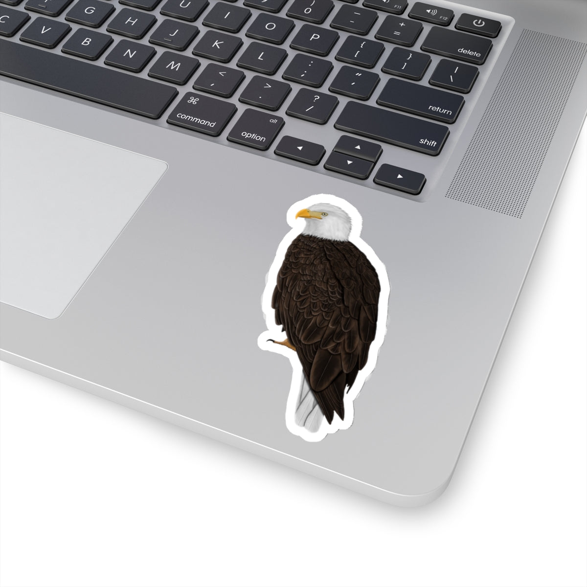 Bald Eagle Bird Kiss-Cut Sticker