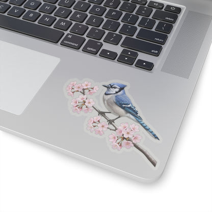 Blue Jay Cherry Blossom Sticker | Glossy Floral Bird Decal | Spring Laptop Sticker