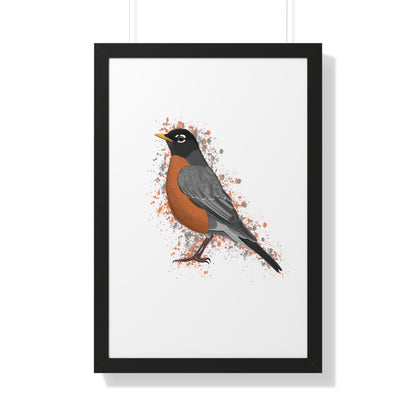 american robin bird framed poster