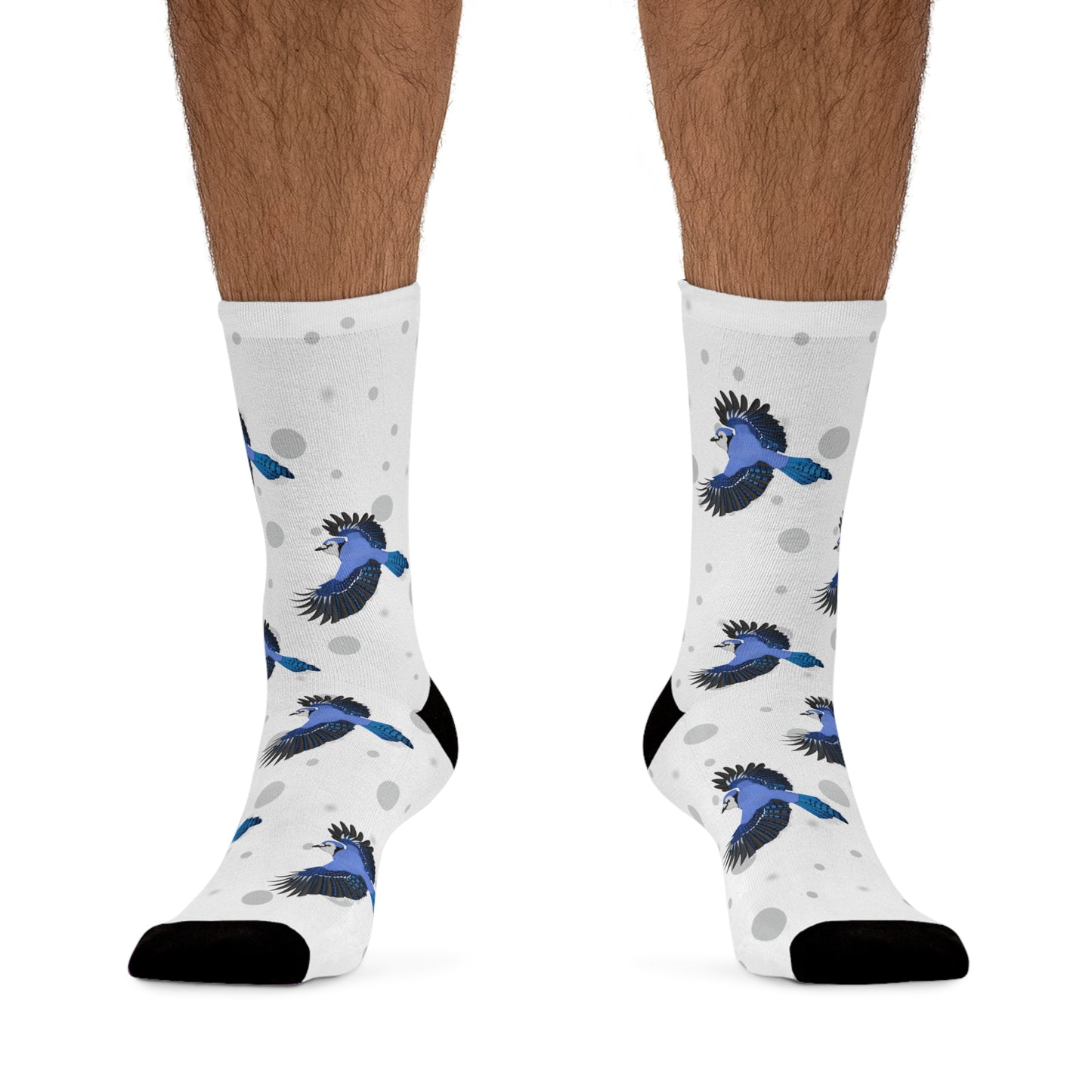 Blue Jay Socks White Bird Socks for Bird Lovers One Size