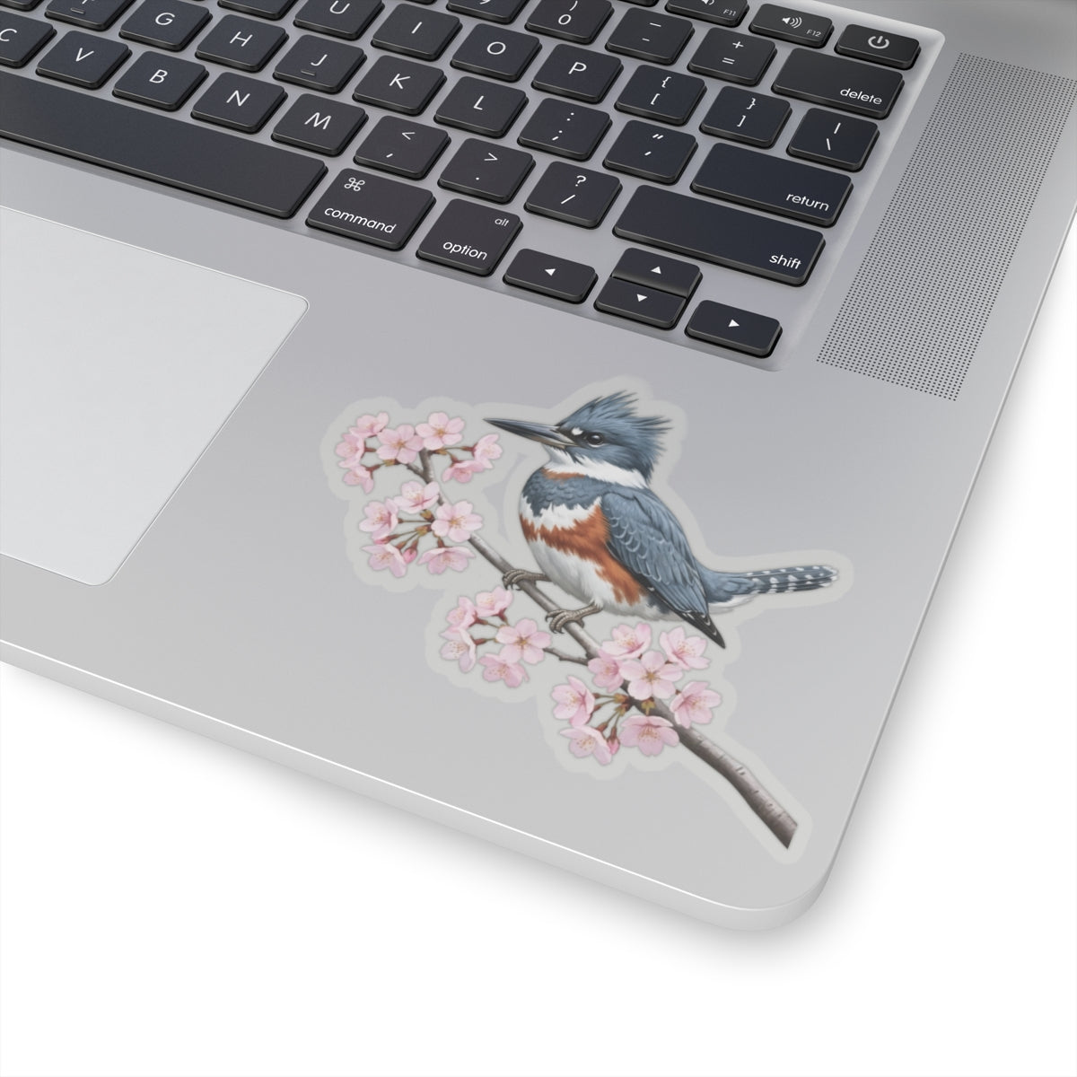 Belted Kingfisher Cherry Blossom Sticker | Glossy Floral Bird Decal | Spring Laptop Sticker