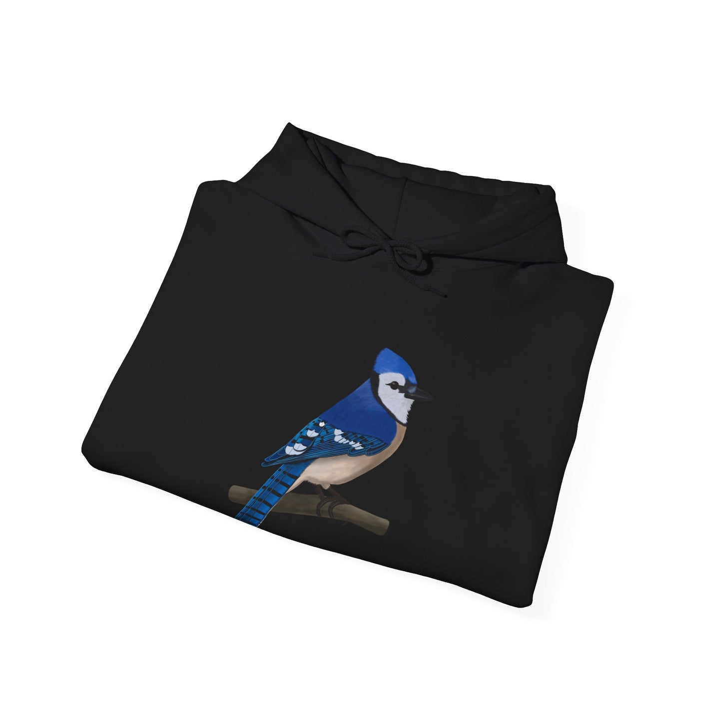 Blue Jay Bird Birdwatching Birder Hoodie