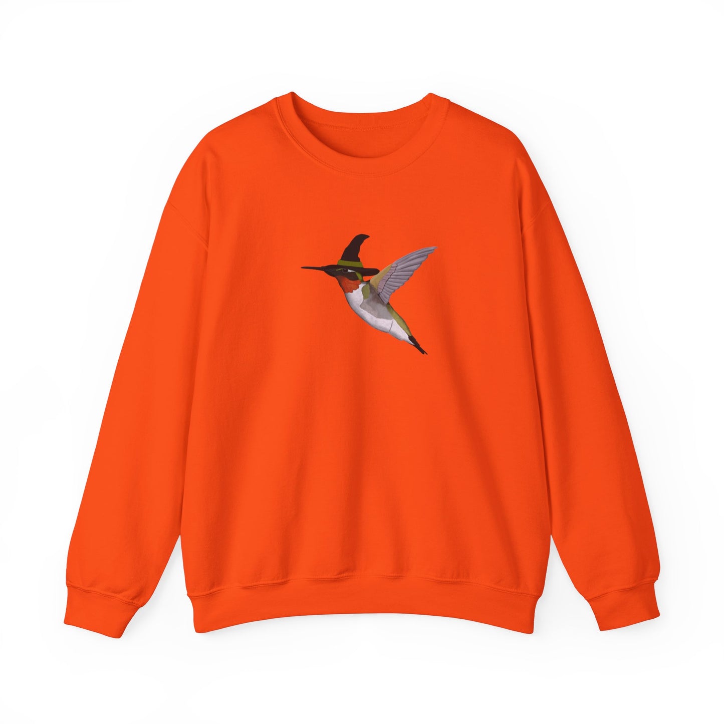 Hummingbird Halloween Birds Witch Birdwatcher Sweatshirt