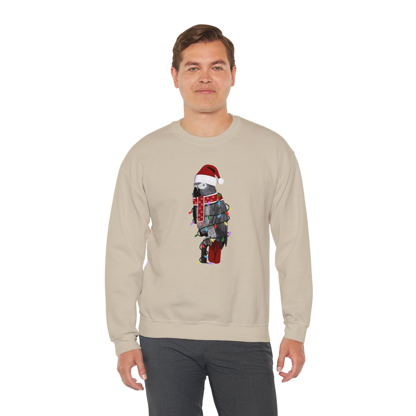 Grey Parrot with Fairy Lights Santa Claus Christmas Bird Sweatshirt