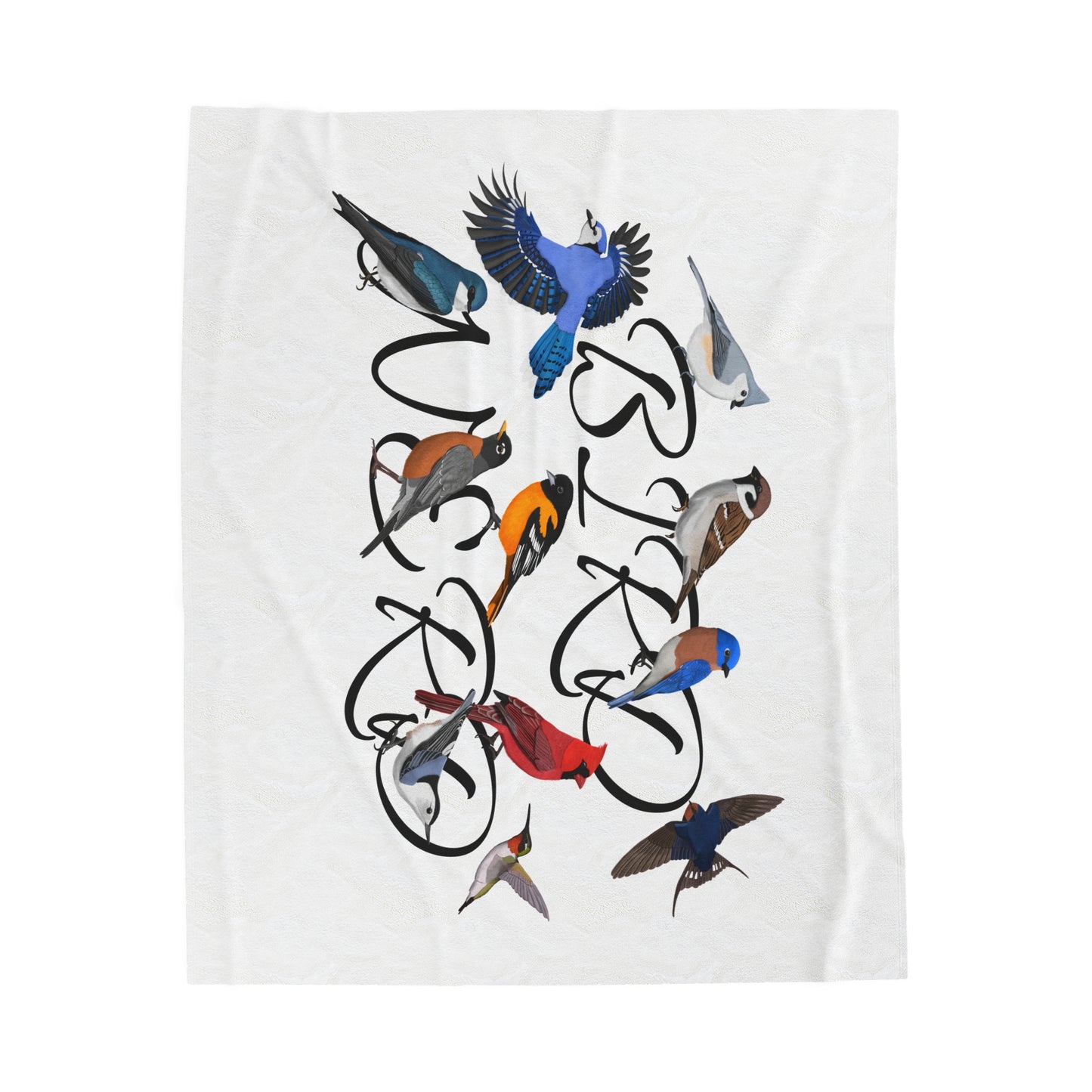 Bird Nerd Blue Jay Cardinal Robin Bluebird Hummingbird Oriole Backyard Birds Velveteen Plush Blanket White