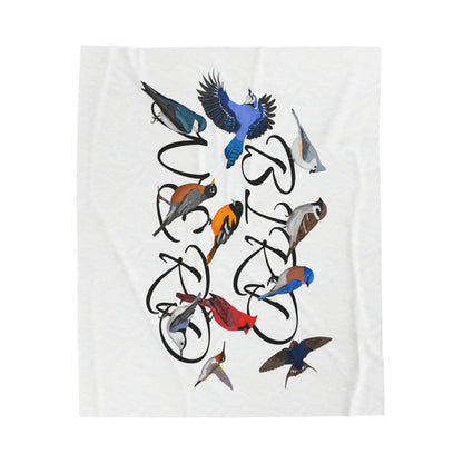 Bird Nerd Blue Jay Cardinal Robin Bluebird Hummingbird Oriole Backyard Birds Velveteen Plush Blanket White