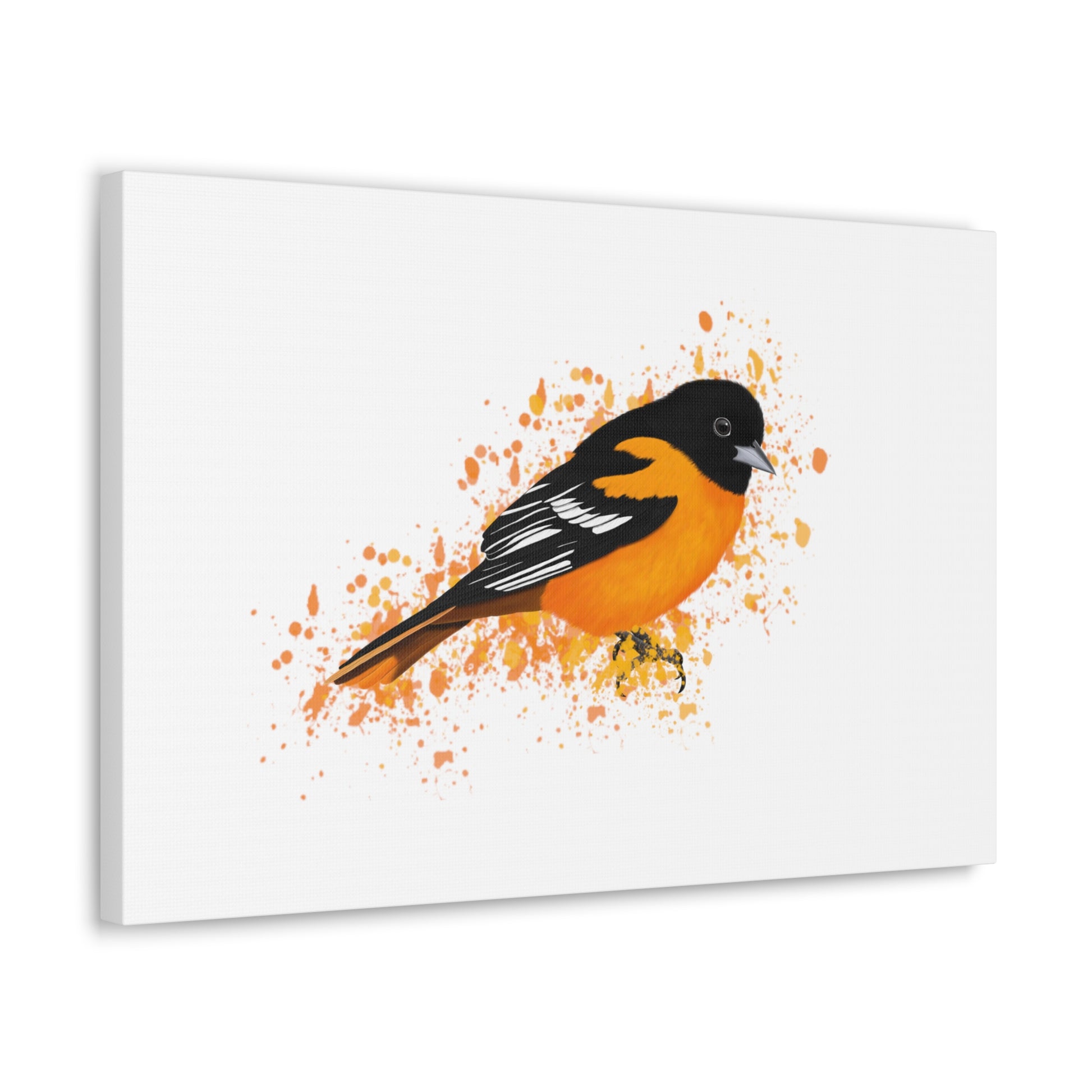 Baltimore Oriole Bird Canvas Gallery Wrap White - jz.birds