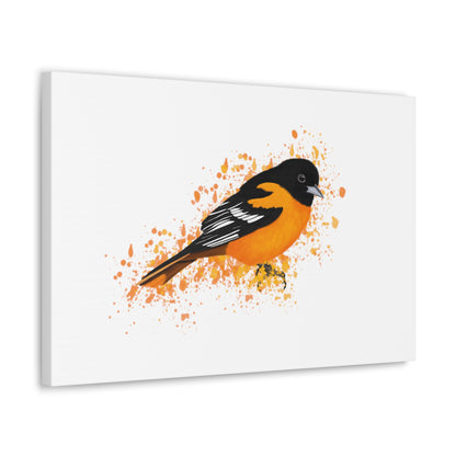 Baltimore Oriole Bird Canvas Gallery Wrap White - jz.birds