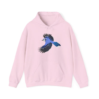 Blue Jay Bird Birdwatcher Biologist Birdlover Hoodie