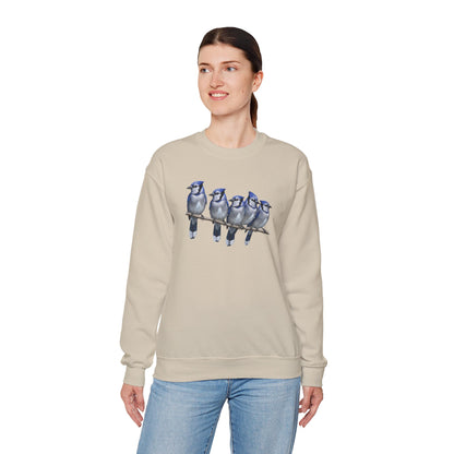 Blue Jays Sweatshirt | Bird Watcher Crewneck | Unisex Songbird Gift for Bird Lovers