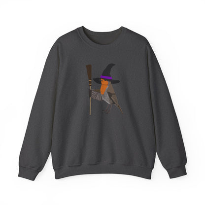 Robin Halloween Witch Birdwatcher Biologist Bird Sweatshirt