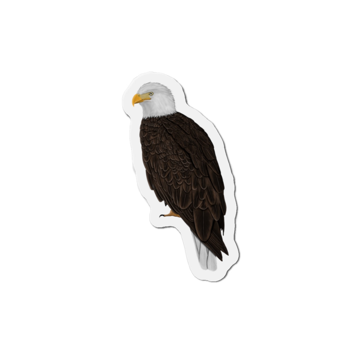 Bald Eagle Bird Magnet