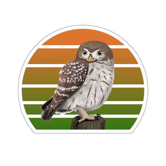 Little Owl Bird Sticker