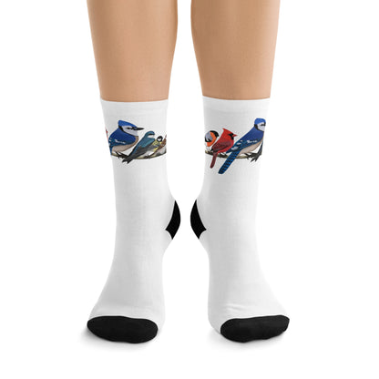 Garden Birds Blue Jay Cardinal Bullfinch Birding & Birdwatching Bird Socks White