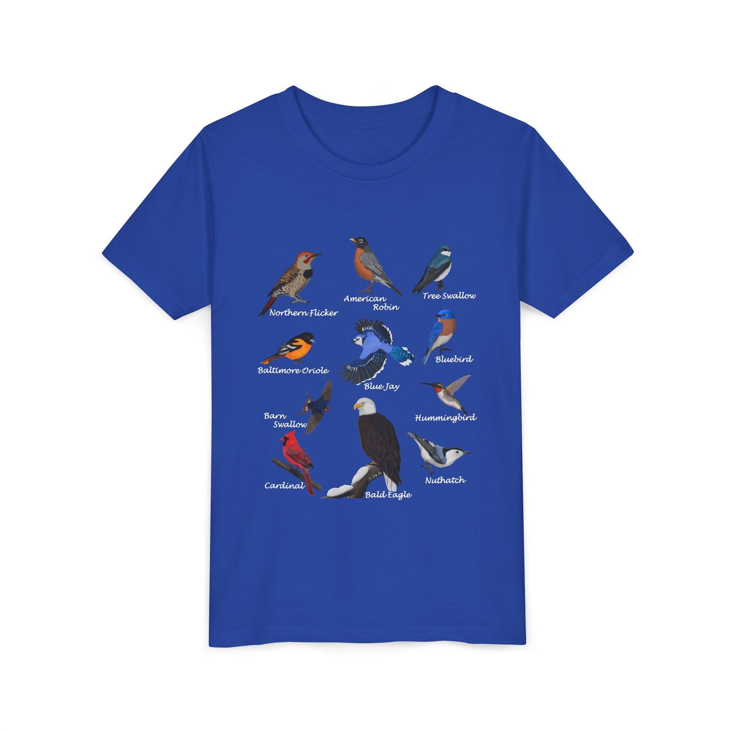 Bald Eagle Blue Jay Cardinal Oriole Hummingbird Birding & Birdwatching Bird Youth T-Shirt