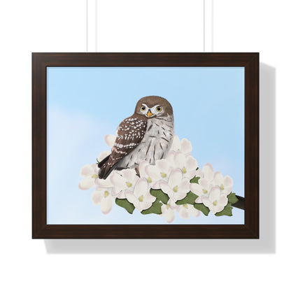 Little Owl Spring Blossoms Bird Framed Poster