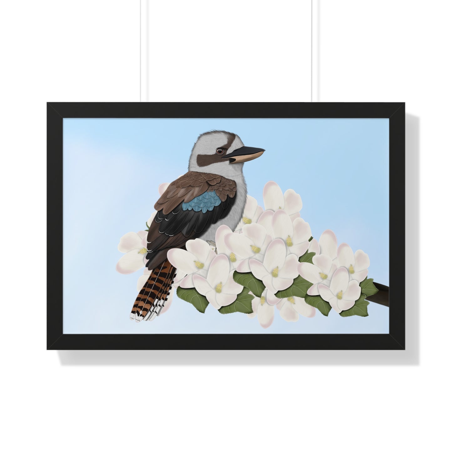 kookaburra bird art framed poster