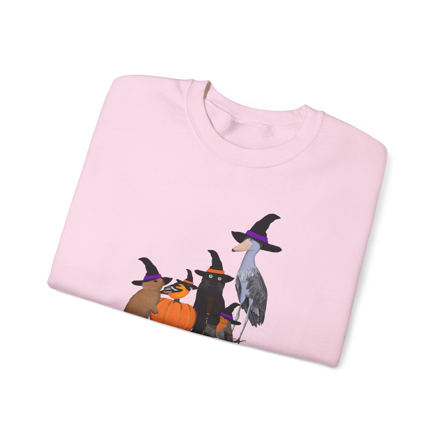 Robin Shoebill Oriole Rabbit with Cat Happy Halloween Birds Sweatshirt