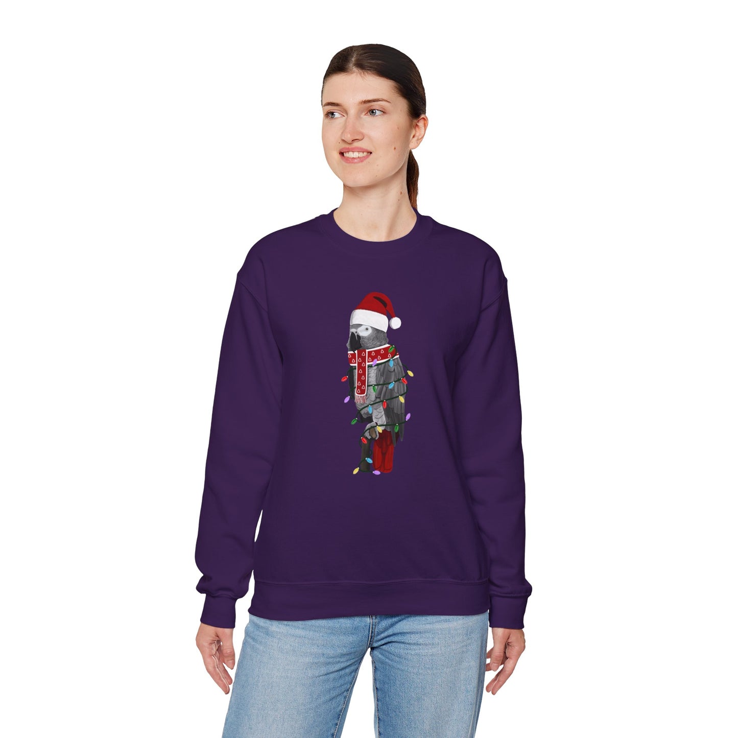 Grey Parrot with Fairy Lights Santa Claus Christmas Bird Sweatshirt