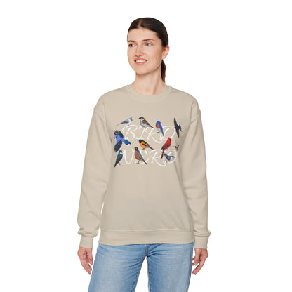 Bird Nerd Blue Jay Cardinal Hummingbird Robin Oriole Birdlover Sweatshirt