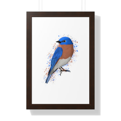 Bluebird Bird Framed Poster