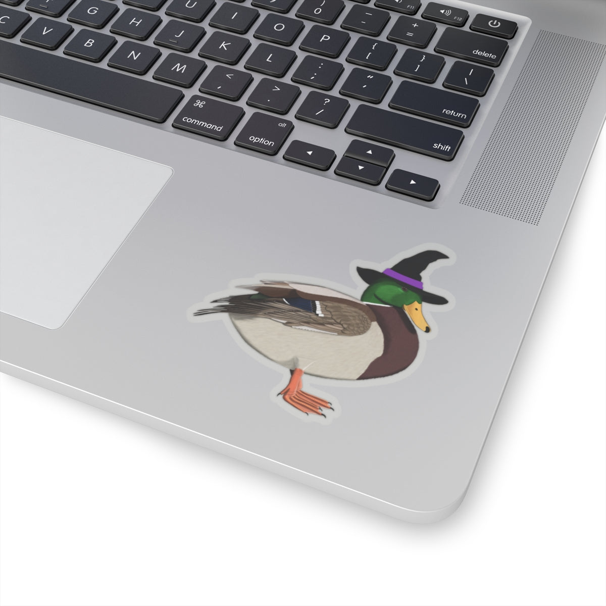 Mallard Halloween Witch Hat Bird Sticker