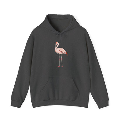 Flamingo with Music Headphones Bird Birdwatching Birdlover Hoodie