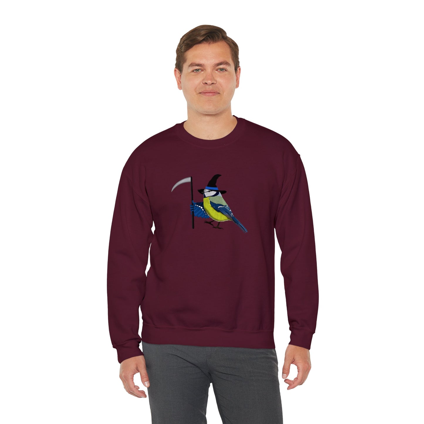 Blue Titmouse Halloween Birds Witch Birdwatcher Sweatshirt