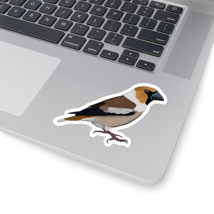 Hawfinch Bird Kiss-Cut Sticker