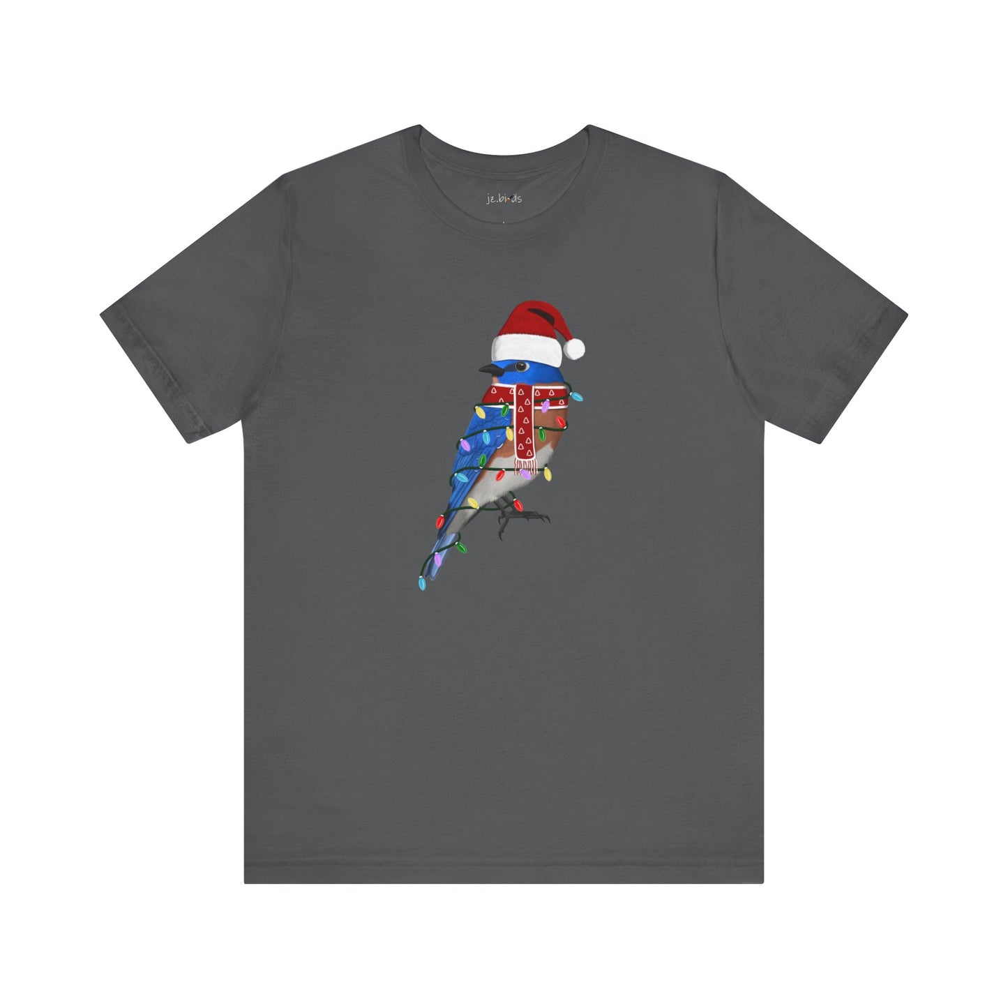 Bluebird with Fairy Lights Christmas Bird T-Shirt