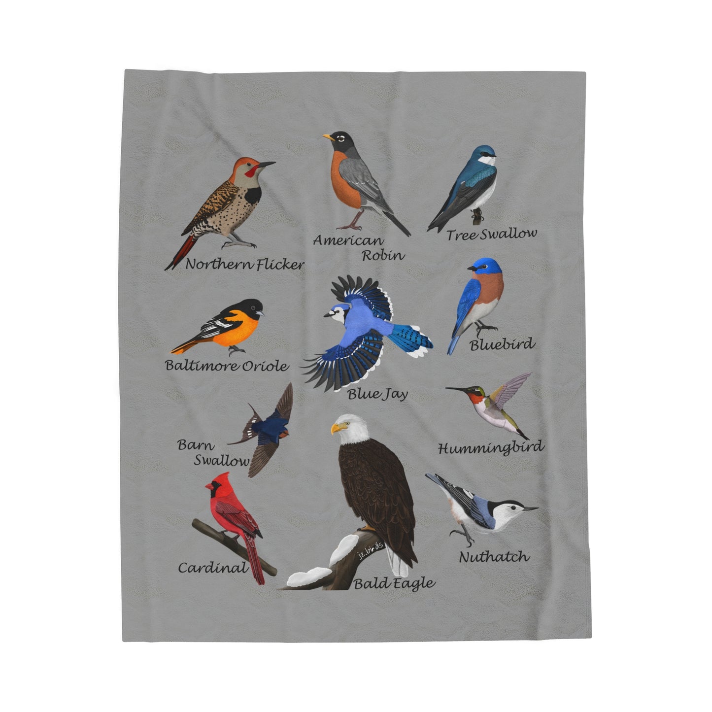 Blue Jay Cardinal Robin Bluebird Hummingbird Backyard Birds Velveteen Plush Blanket Grey