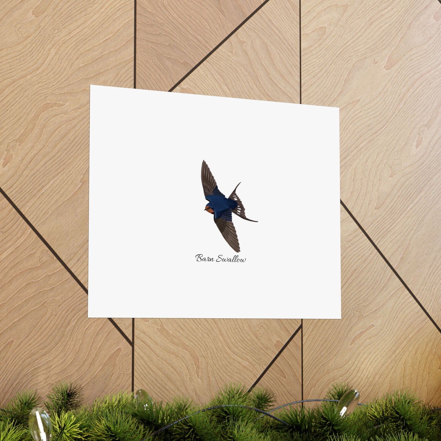 Barn Swallow Bird Birding Matte Poster