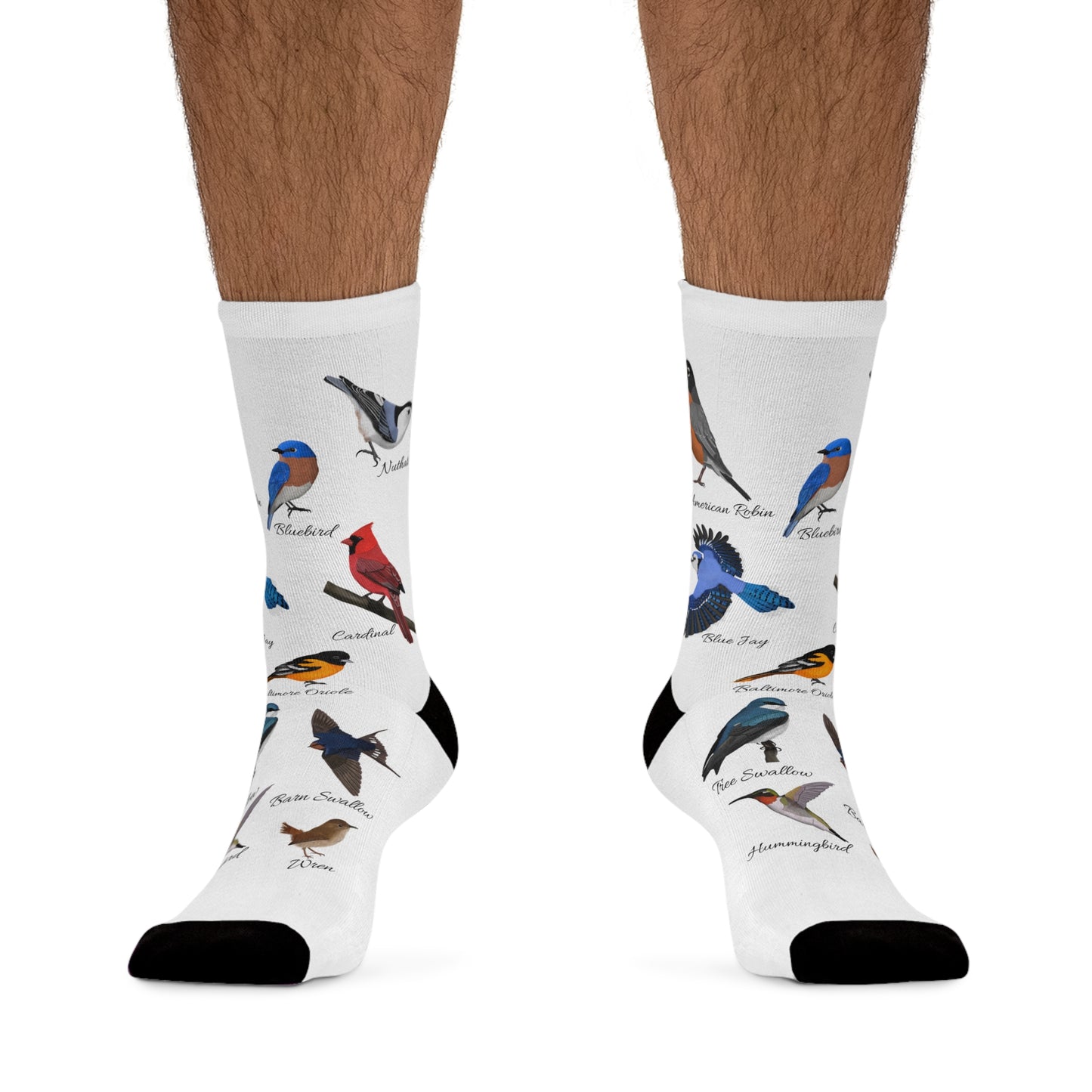 Garden Birds Blue Jay Cardinal Bluebird Robin Birding & Birdwatching Bird Socks White