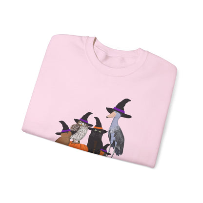 Robin Shoebill Owl Rabbit with Cat Happy Halloween Birds Sweatshirt