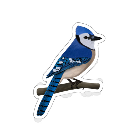 Blue Jay Bird Kiss-Cut Sticker