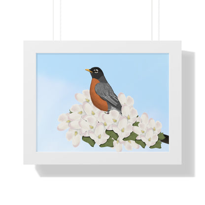 Robin Spring Blossoms Bird Framed Poster