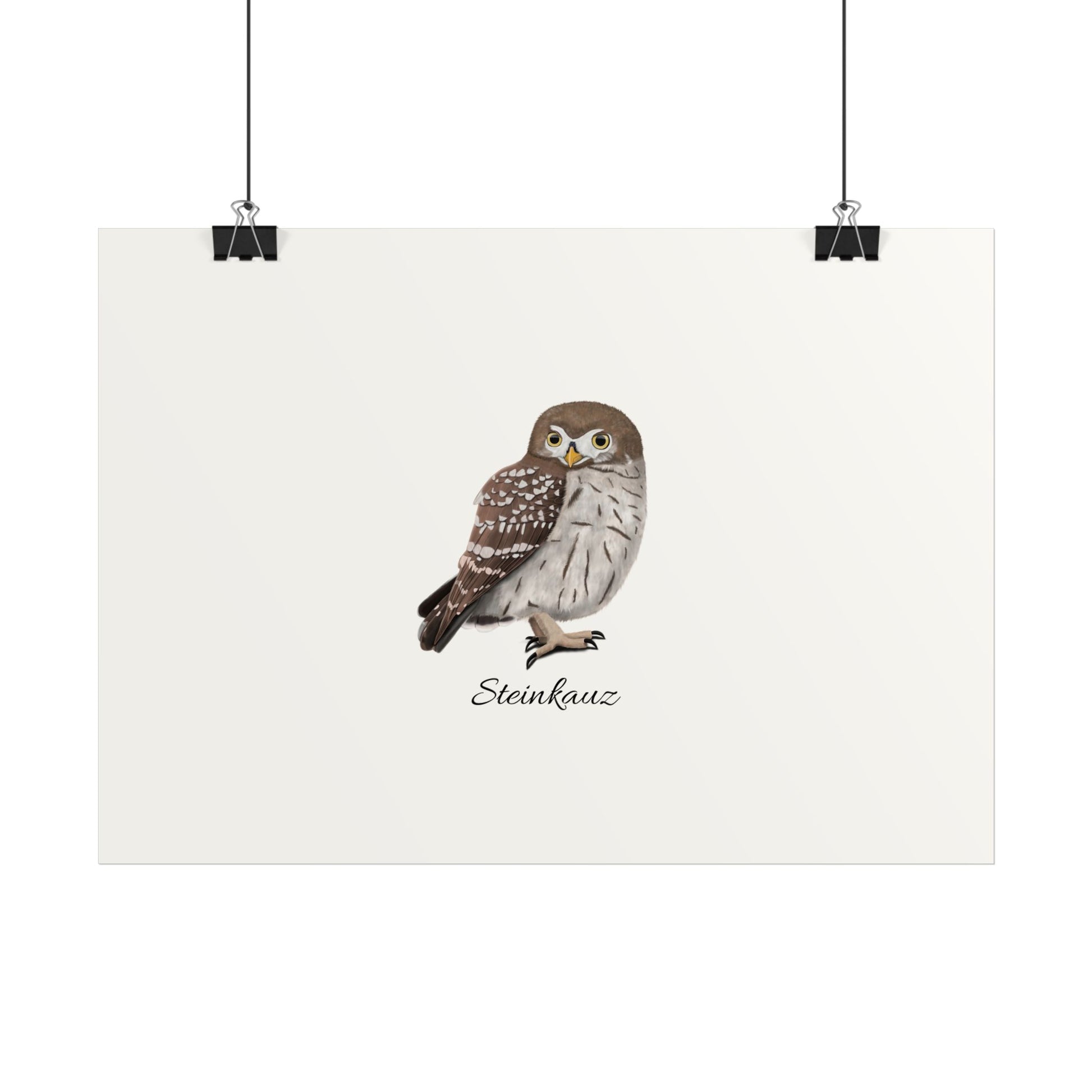Kauz Vogel Poster – Glossy, Home & Living