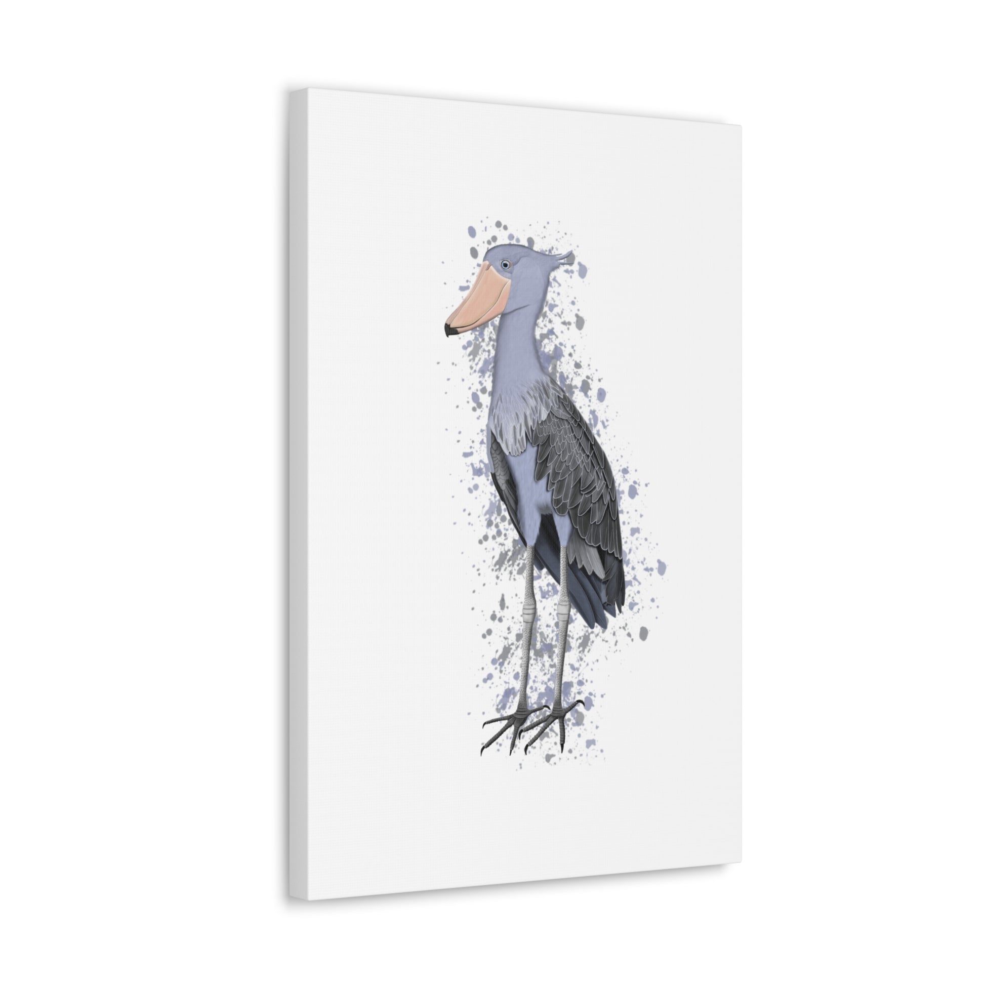 Shoebill Bird Canvas Gallery Wrap White - jz.birds